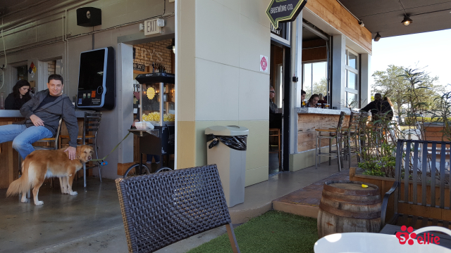 14. Jan 2018 14:13 | Mastry's Brewing Co.