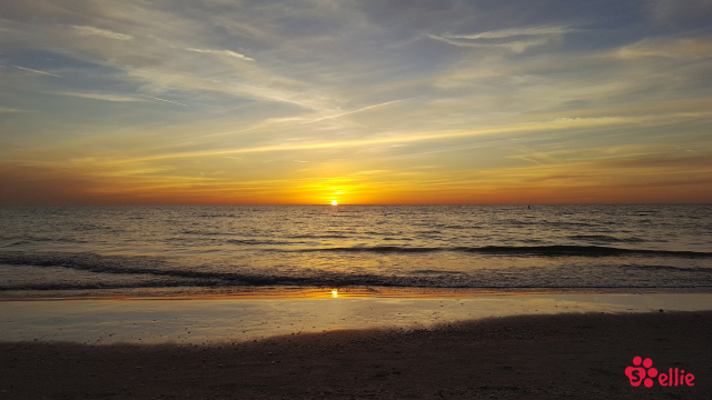 16. Jan 2018 17:57 | Caddy's on the Beach