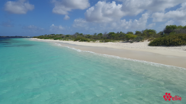 23. Jan 2018 14:47 | Klein Bonaire